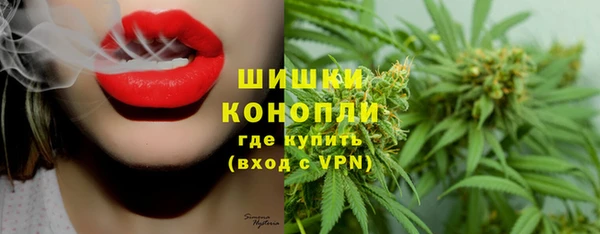 ГАЛЛЮЦИНОГЕННЫЕ ГРИБЫ Арсеньев