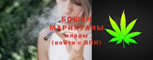 стаф Баксан