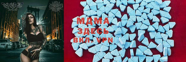 ГАЛЛЮЦИНОГЕННЫЕ ГРИБЫ Арсеньев
