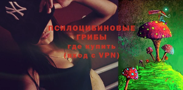 ГАЛЛЮЦИНОГЕННЫЕ ГРИБЫ Арсеньев