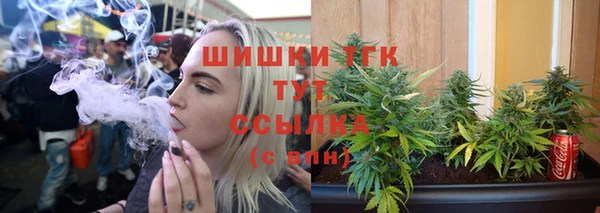 ГАЛЛЮЦИНОГЕННЫЕ ГРИБЫ Арсеньев
