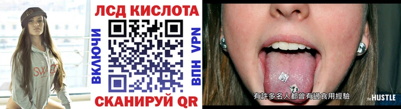 купить закладку  MEGA как войти  Марки NBOMe 1,8мг  Купино 