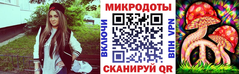 Галлюциногенные грибы Psilocybine cubensis Купино