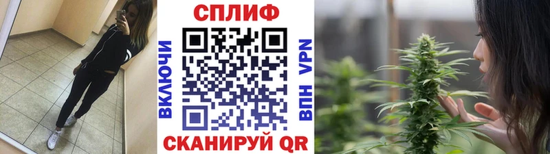 Бошки марихуана марихуана  купить  цена  Купино 